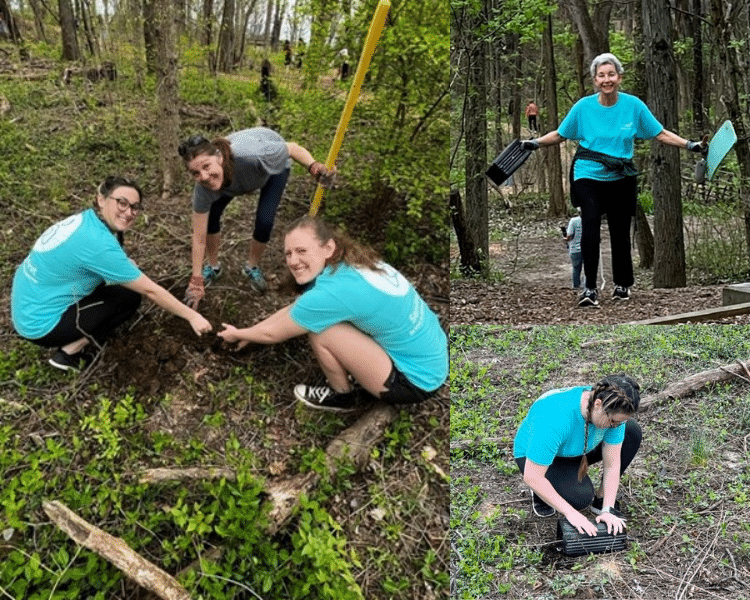 Tree Planting