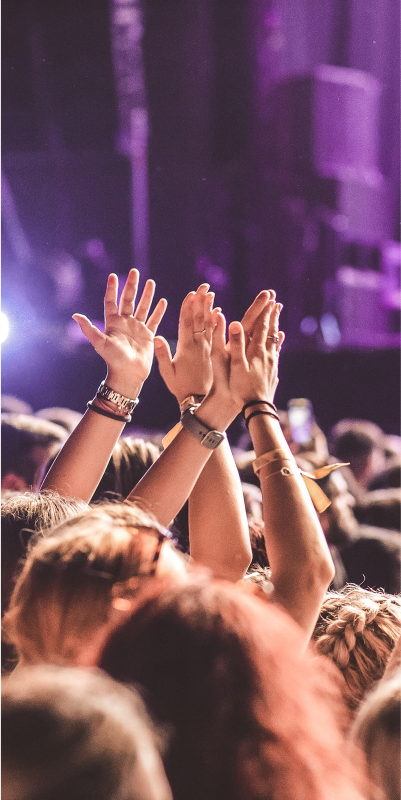 A lively concert crowd with hands raised in excitement, enjoying the music and creating a vibrant atmosphere.