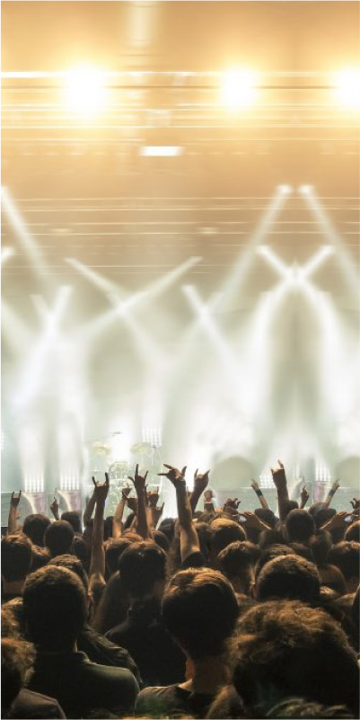 A lively concert crowd with hands raised in excitement.