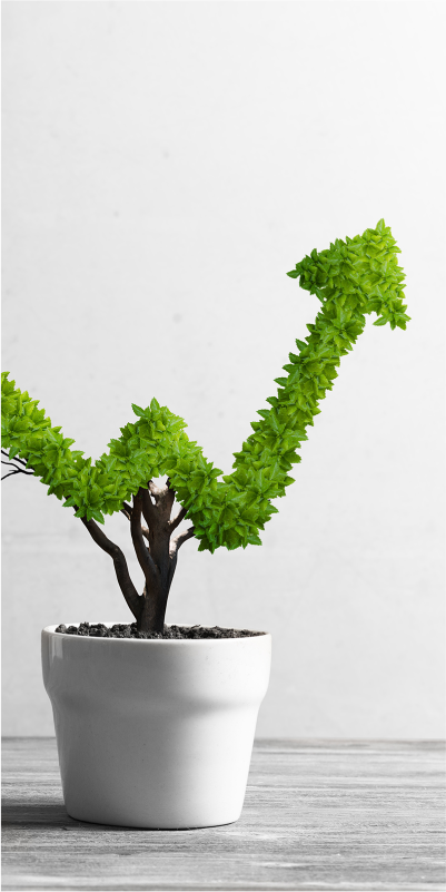 Tabletop view of potted plant with green arrow.
